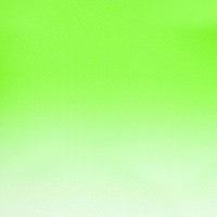 Camiseta Bidi Badu Crew Gradiant Verde Neon Blanco