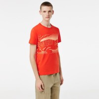 Lacoste Novak Djokovic Orange T-shirt PADELPOINT Lacoste Novak Djokovic Orange T-shirt