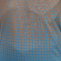 Polo Bidi Badu Spectrum Spirit Marron Azul