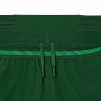 Short Lacoste Novak Djokovic Tenis Verde